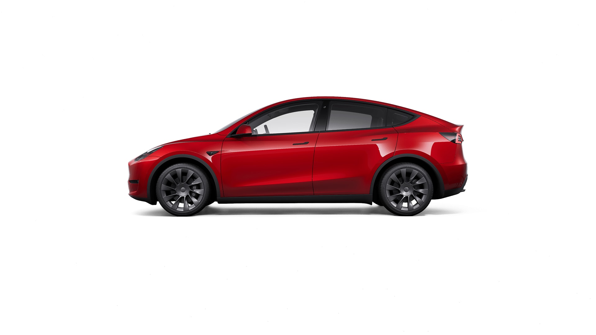 Tesla Model Y Interior
